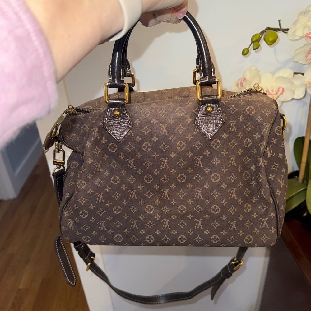 Louis Vuitton Mini Lin Speedy 12 x 9 - Picture 9 of 16